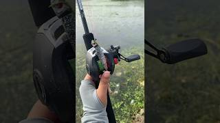 New fishing rod bait for fishing viralvideo shorts [upl. by Eilema277]