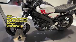 Yamaha XSR 125  2024 [upl. by Darbie4]