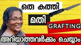 ചേച്ചിയുടെ അറിവുകൾ വൈറലാകുന്നു Grafting easy method [upl. by Eeral]