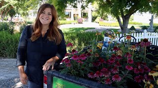 Planting 5 Varieties of Echinacea 🌸🌿💚  Garden Answer [upl. by Pronty]