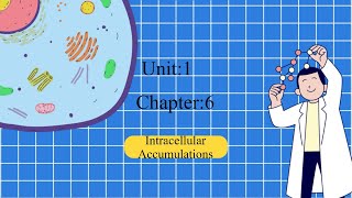 PATHOLOGY  GENERAL PATHOLOGY  INTRACELLULAR ACCUMULATIONS [upl. by Chasse]