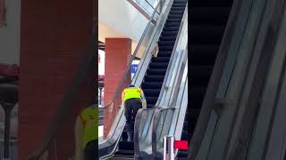 Cat stuck on escalator 😂 shorts facts funfacts [upl. by Ahseuqal]