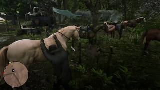 RDR2 TIPS TRICKS  BueLL DuPLiCaTioN By OutLaw Of THe WesT [upl. by Tiras]