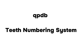 شرح نظام الترقيم الجديد للاسنان  qpdb Teeth Numbering System [upl. by Leandra136]