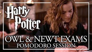 ✏️HOGWARTS EXAMS AMBIENCE✏️ Harry Potter Pomodoro Session  OWL amp NEWT Ambience Harry Potter ASMR [upl. by Abroms792]