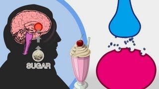 The Skinny on Obesity Ep 4 Sugar  A Sweet Addiction [upl. by Alexei693]