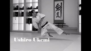 Basic Aikido Ukemi Ushiro Ukemi Tutorial [upl. by Steady]