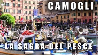 San Fortunato e la Sagra del Pesce di Camogli [upl. by Ssej]