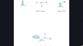 Exercise 2015  Drawing the Mechanism of Imine Formation [upl. by Tellford]