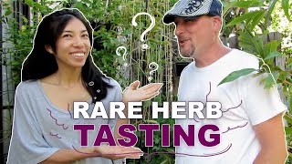 Tasting And Reacting To My Garden [upl. by Delanie]