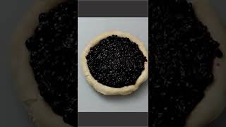 How To Make A Delicious Blueberry Pie From Scratch [upl. by Stargell299]