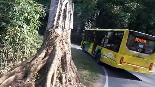 Sabarimala Ghat Road  Dangerous Ghat Roads in india  Safe Journey Using Kerala State RTC Buses [upl. by Cox]