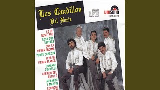 Corrido del Betillo [upl. by Fiedler882]