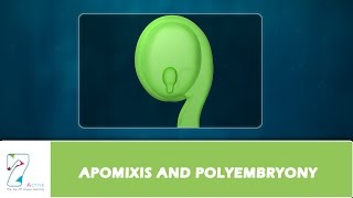 APOMIXIS AND POLYEMBRYONY [upl. by Christiansen840]