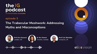 Ep 3 The Trabecular Meshwork Addressing Myths and Misconceptions [upl. by Gnoy]