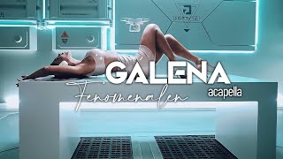 Galena  Fenomenalen Acapella [upl. by Aibun]