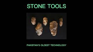 Stone ToolsAcheulean CultureStone Age HandAxeAcheulean HandAxe Pakistan [upl. by Oloap22]