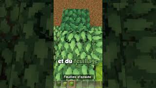 Comment faire un BUISSON FANTAISIE REALISTE sur minecraft [upl. by Duston]