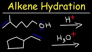 Hydration of Alkenes Reaction Mechanism [upl. by Acirfa]