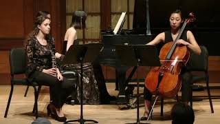 BRAHMS — Trio in A minor Op 114 [upl. by Eynobe]