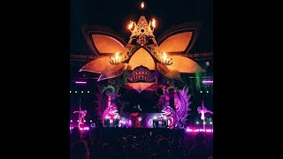 LSDream Envision Festival 2024 [upl. by Assenev]