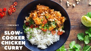 Slow Cooker Chicken Curry [upl. by Ettevahs667]