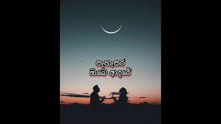 Mandaram wahi poda  මන්දාරම් වැහි පොද Lyrics [upl. by Noemis434]