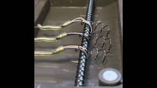 Blowback Rigs with a Meat Coil fishing carpfishing carprigs carp fishinglife fishingvideo [upl. by Aniretake]