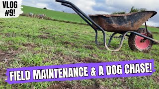 Renovating our farmland  VLOG 9 [upl. by Deehsar]