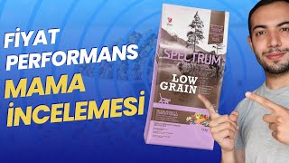 FİYATPERFORMANS KEDİ MAMASI Spectrum Low Grain Kısır Kedi Maması İncelemesi [upl. by Mychal740]