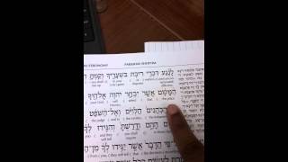 Parashah reading of Shoftim or Judges in Hebrew [upl. by Oiluarb]