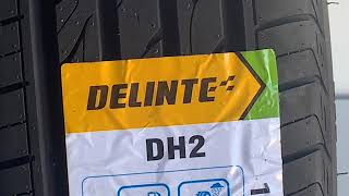 Pneu Delinte 1854515  Dh2  Aro 15 [upl. by Nhguav]