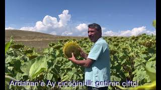 Ardahan ‘a ayçiçeğini ilk getiren adam Gökhan Gürbulak Çiftçi [upl. by Leynad]