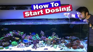 How to Start Dosing Your Reef tank [upl. by Proudfoot284]