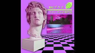 Macintosh Plus  リサフランク420  現代のコンピュー  Mr Introvert Remix [upl. by Wolff178]