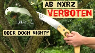 Das ist ab März im Garten verboten  warum es nicht komplett verboten ist die Hecke zu schneiden [upl. by Hock]