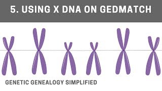 Using X DNA on GEDmatch [upl. by Aderfla]