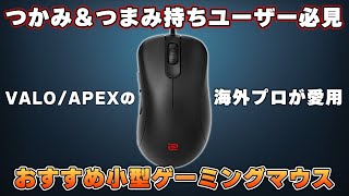 【海外プロ愛用】玄人向けデバイスメーカー「ZOWIE」の新作ゲーミングマウスがやっぱり凄かった件｜BenQ ZOWIE EC3C [upl. by Acirretal]