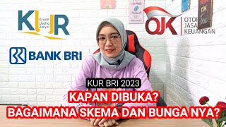 KAPAN KUR 2023 DIBUKA BAGAIMANA SKEMA KUR TAHUN 2023 BAGAIAMANA CARA PENGAJUANNYA [upl. by Verena639]