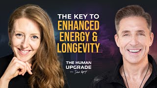 Good Energy Transformative Metabolic Health Tips with Dr Casey Means  1167  Dave Asprey [upl. by Areek]