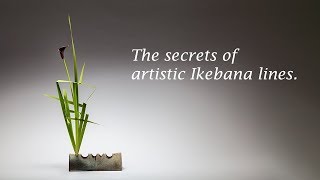 The Secrets of Artistic Ikebana Lines [upl. by Eniamat110]