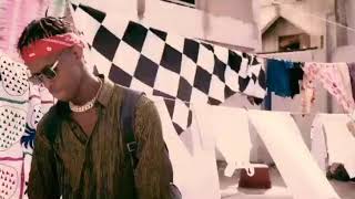 Samba peuzzi oulalah clip officiel [upl. by Eityak]