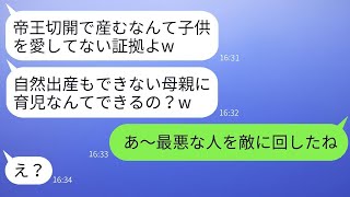 帝王切開で出産した私を見下し、自然分娩を自慢するママ友「腹切りは甘えだ」と言ったので、彼女を叩きのめしました。 [upl. by Abrahamsen]