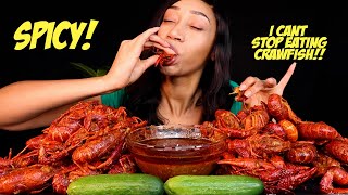 Mukbang  SPICY LOUISIANA CRAWFISH BOIL 🦀🦀  How To Eat Crawfish [upl. by Maire899]