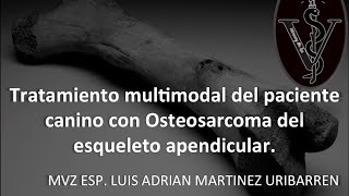 Tratamiento del paciente canino con Osteosarcoma apendicular y metastasis pulmonar  Oncología esp [upl. by Reinert]