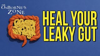 Heal Your Leaky Gut  Dr Osbornes Zone [upl. by Goober]