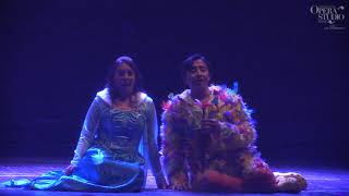 Mozart  Il Flauto Magico Die Zauberflöte  Bei Männern… Pamina Papageno  6042019 [upl. by Anaderol]