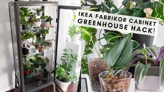 Ikea Greenhouse Glass Cabinet Tour and Tips Hacking the Fabrikor Model Cabinet [upl. by Demaggio]