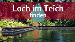 Undichter Teich So findet man einfach das Loch in der Teichfolie [upl. by Jeffry647]