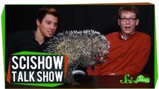 Hank and Michael Meet an Alien SciShow Talk Show 4 [upl. by Scrogan]